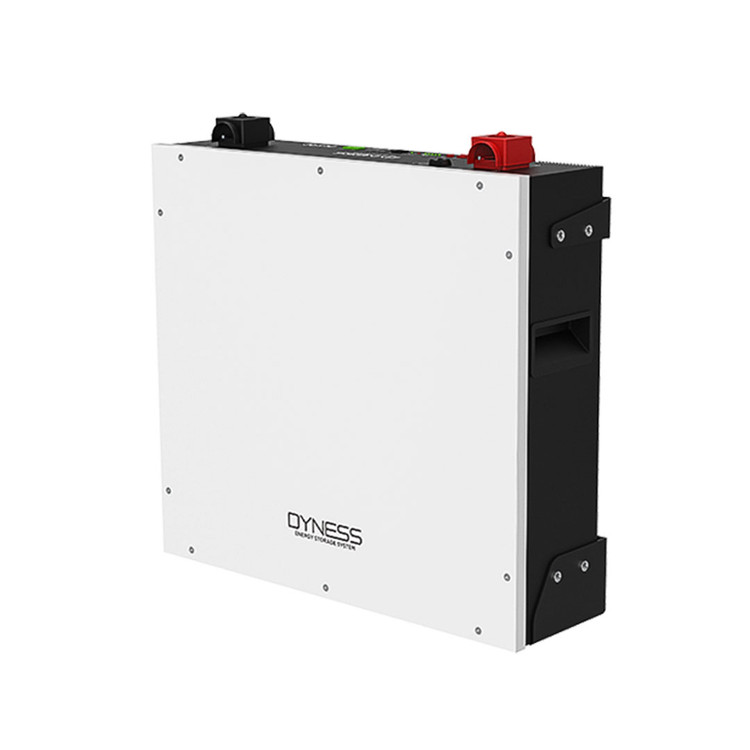باتری لیتیومی Dyness مدل DL5.0C ظرفیت ۵ کیلو وات